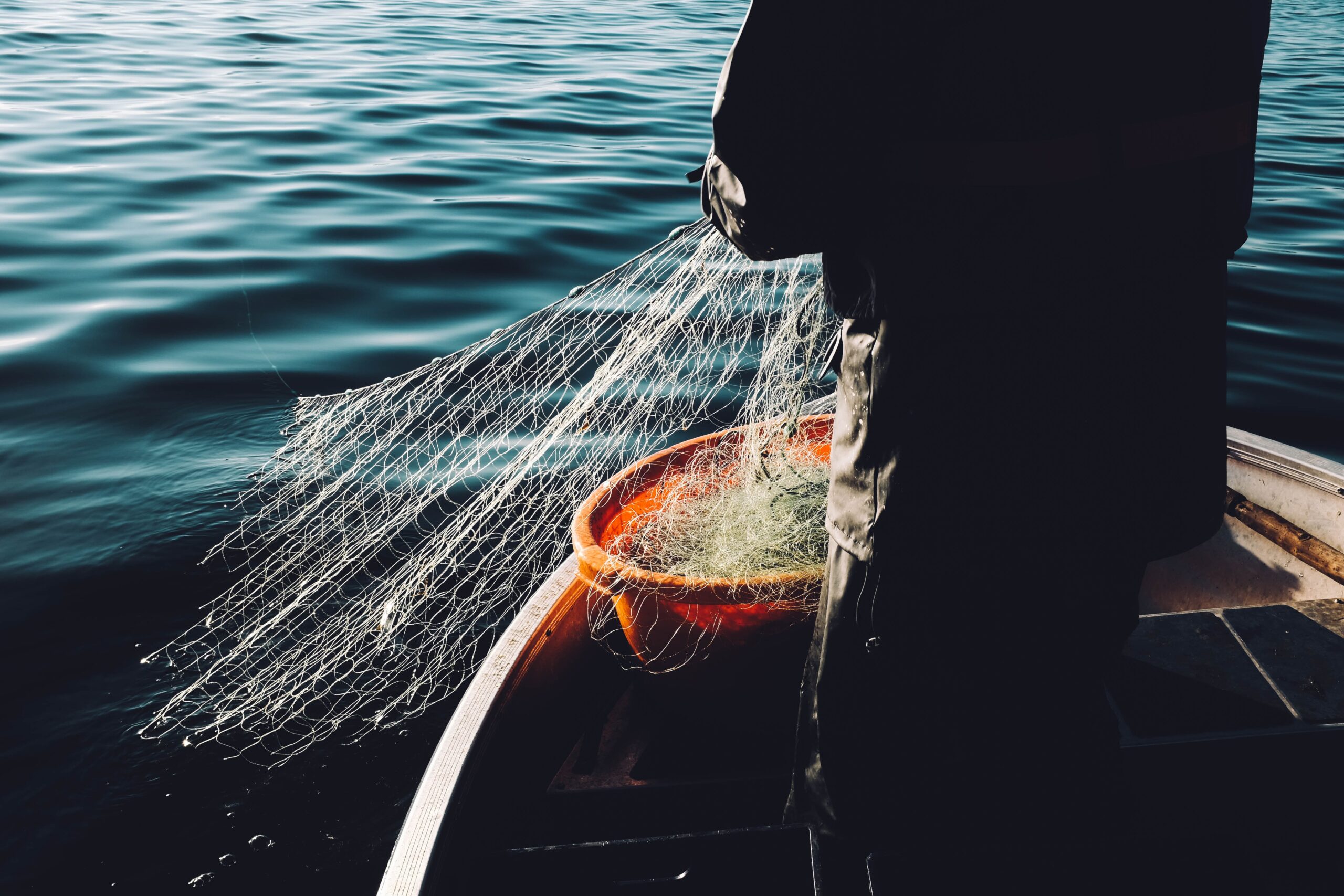 Förderung von fairem Handel, nachhaltigen Labels und Fisch aus verantwortungsvollem Fang 